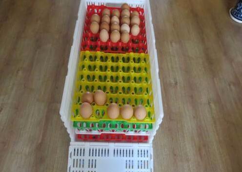 鸡蛋运输周转箱